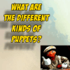 What Are The Different Kinds Of Puppets